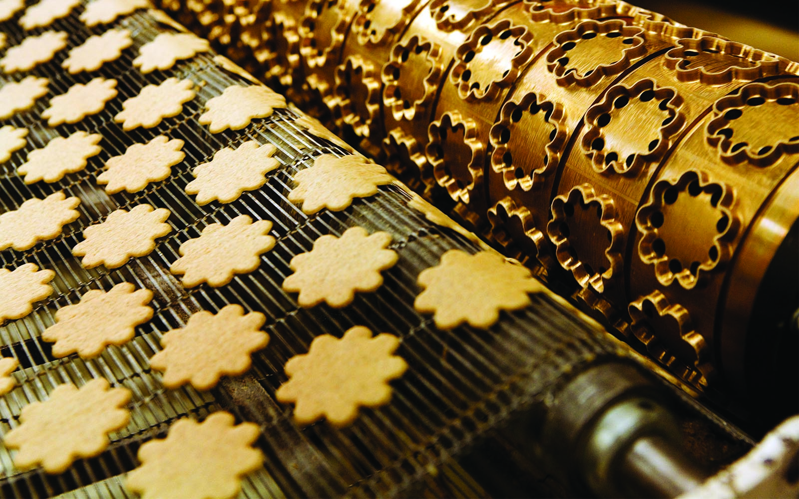 miriam_preis-gingerbread_making_-777